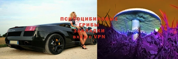 ешки Белокуриха
