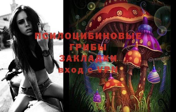 ешки Белокуриха