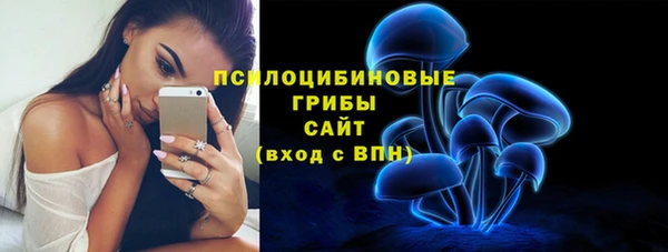 ешки Белокуриха