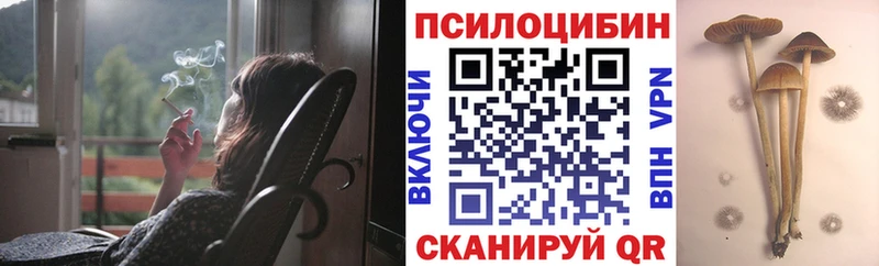 Галлюциногенные грибы Magic Shrooms  Курлово 